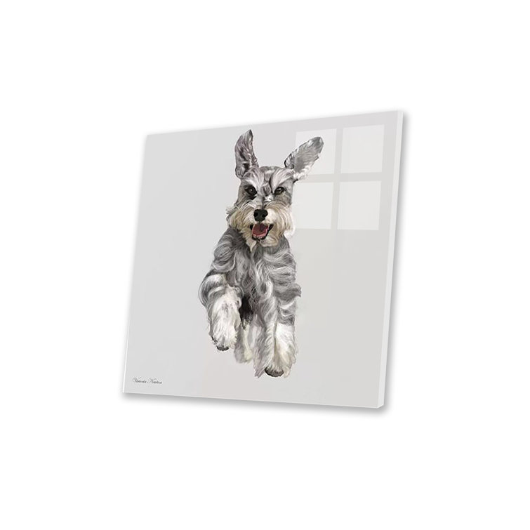 Luxurious schnauzers cheap